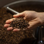 Foto de mão segurando grãos de café