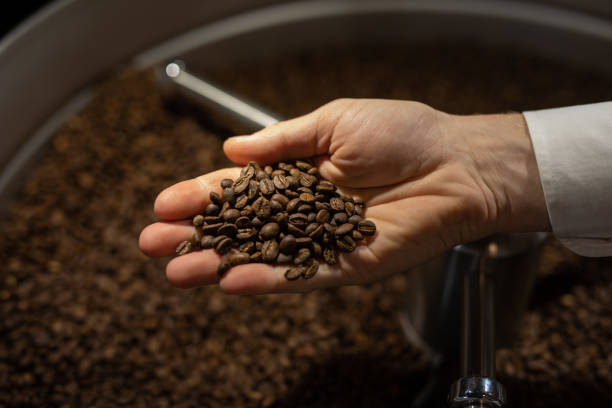 Foto de mão segurando grãos de café