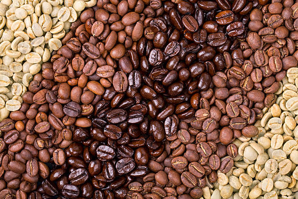 Uma seleção de grãos de café torrados e não torrados, dispostos em um padrão de listras diagonais.